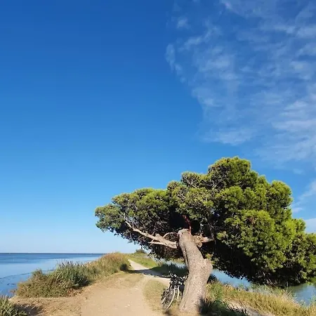 T2 Cosy A La Plage, Terrasse Vue Sur Mer Et Parking Privatif Narbonne Exterior foto