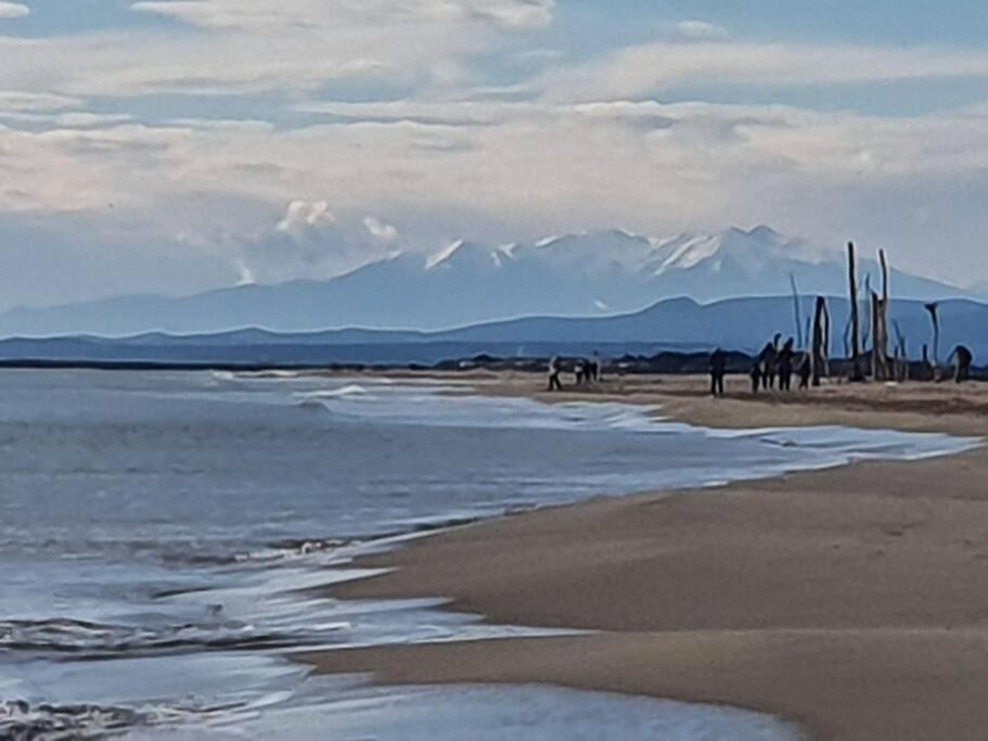 T2 Cosy A La Plage, Terrasse Vue Sur Et Parking Privatif * Narbonne
