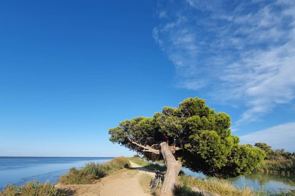 Apartamento T2 Cosy A La Plage, Terrasse Vue Sur Et Parking Privatif